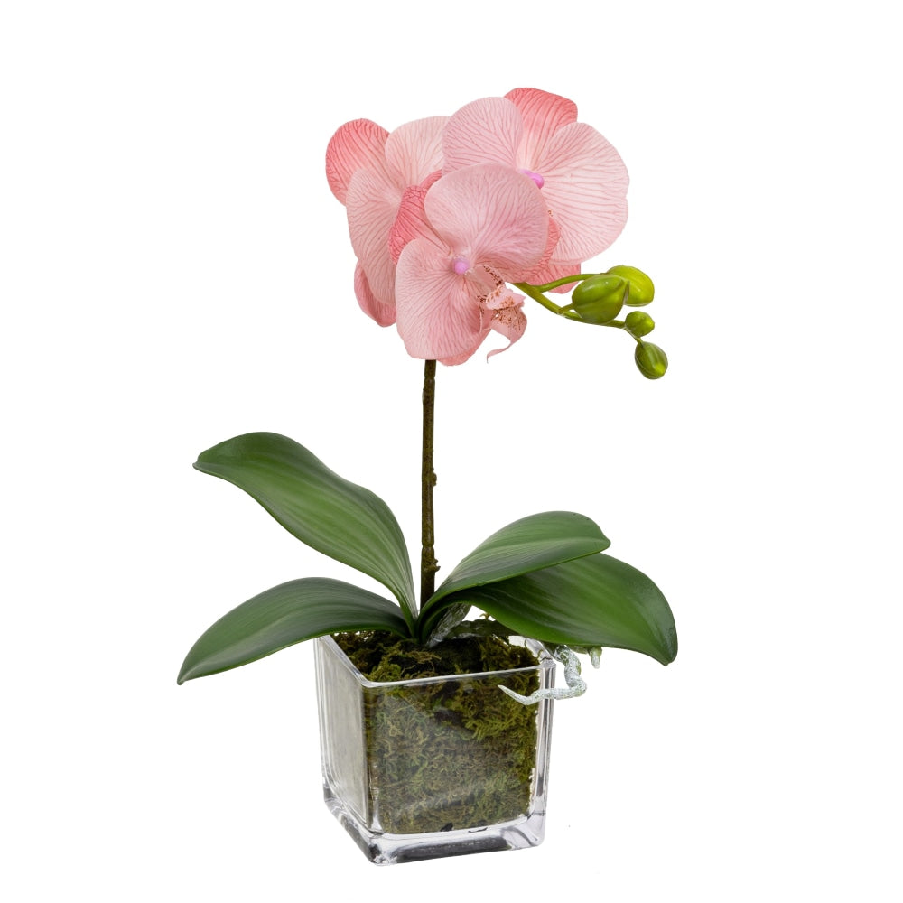 Light Mauve Orchid Artificial Fake Plant Decorative Arrangement 32cm In Square Glass Fast shipping On sale