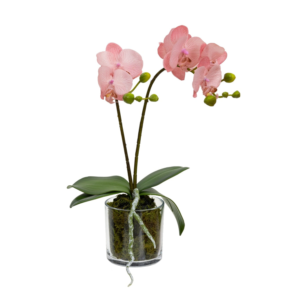 Light Mauve Orchid Artificial Fake Plant Decorative Arrangement 40cm In Cylinder Glass Fast shipping On sale