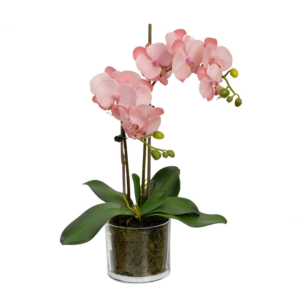 Light Mauve Orchid Artificial Fake Plant Decorative Arrangement 45cm In Cylinder Glass Fast shipping On sale