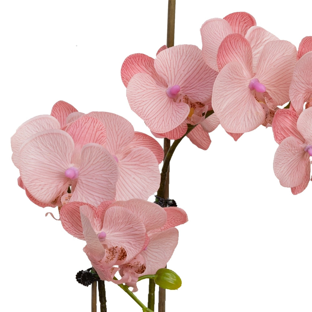 Light Mauve Orchid Artificial Fake Plant Decorative Arrangement 45cm In Cylinder Glass Fast shipping On sale