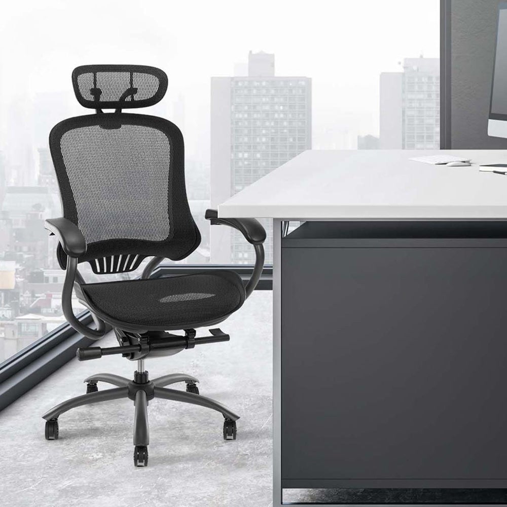Lopez Adjustable Mesh Ergonomic Office Executive Computer Chair W/ Headrest - Black Fast shipping On sale