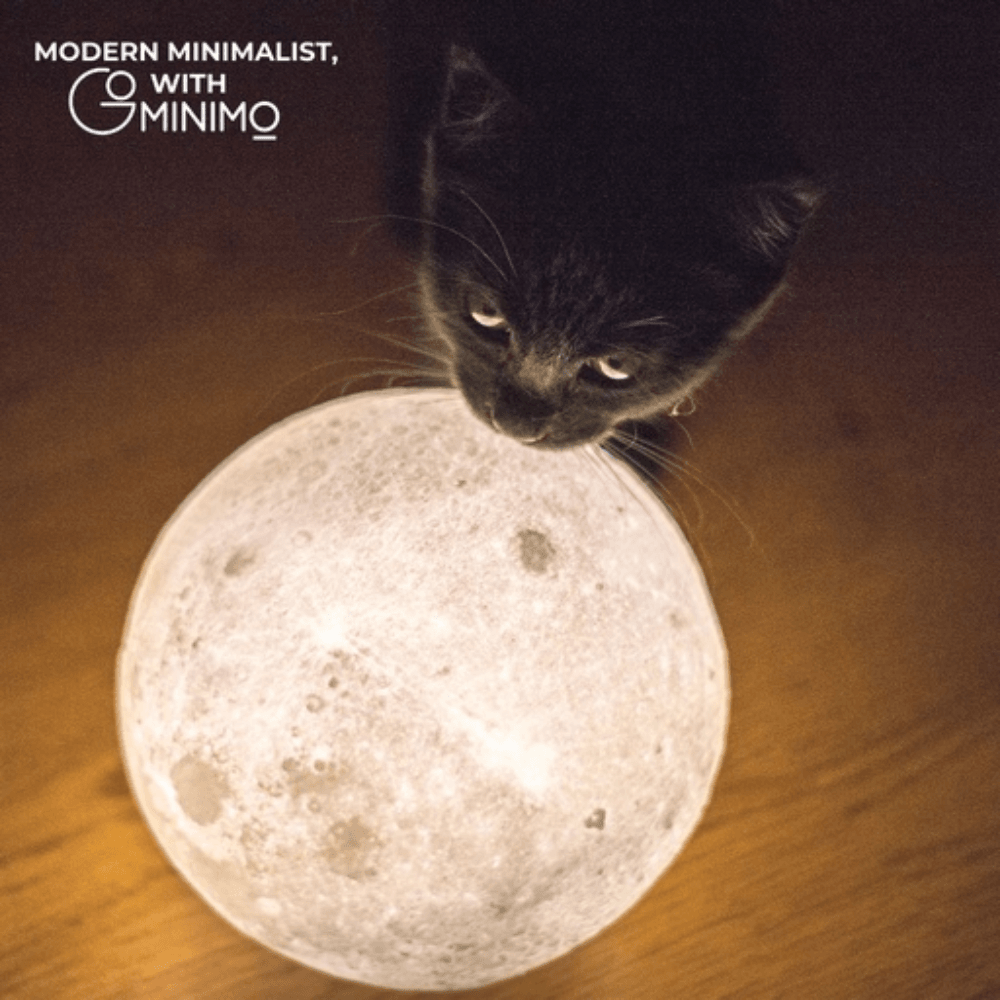 Magnetic Levitating 3D Moon Lamp LED light Desk Night - Dark Brown Table Fast shipping On sale