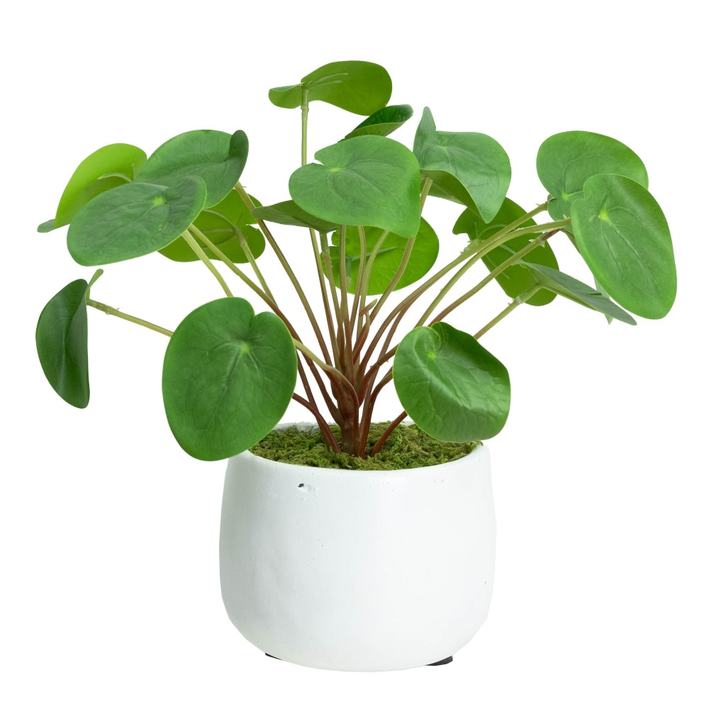 Money Plant Artificial Fake Flower Decorative 27cm In Pot Fast shipping On sale