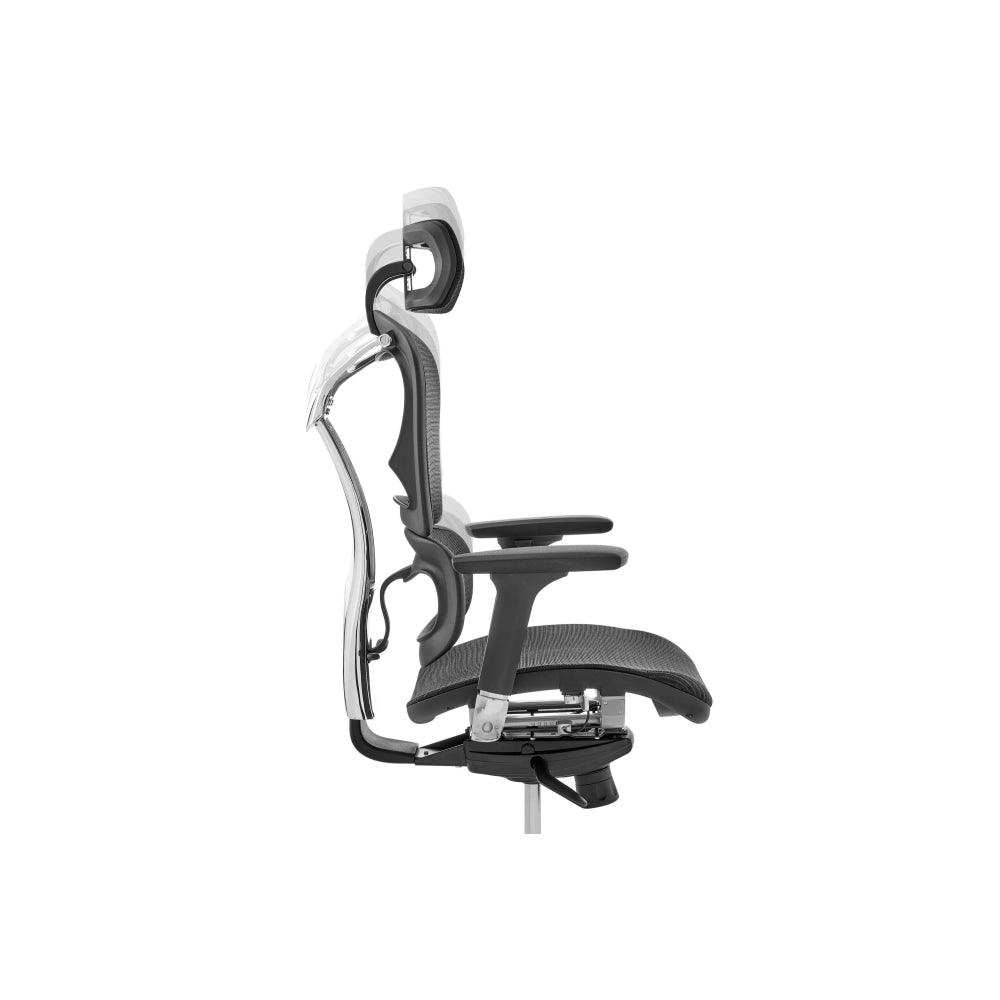 Morgan Office Computer Work Task Chair - Black Frame/ Fast shipping On sale