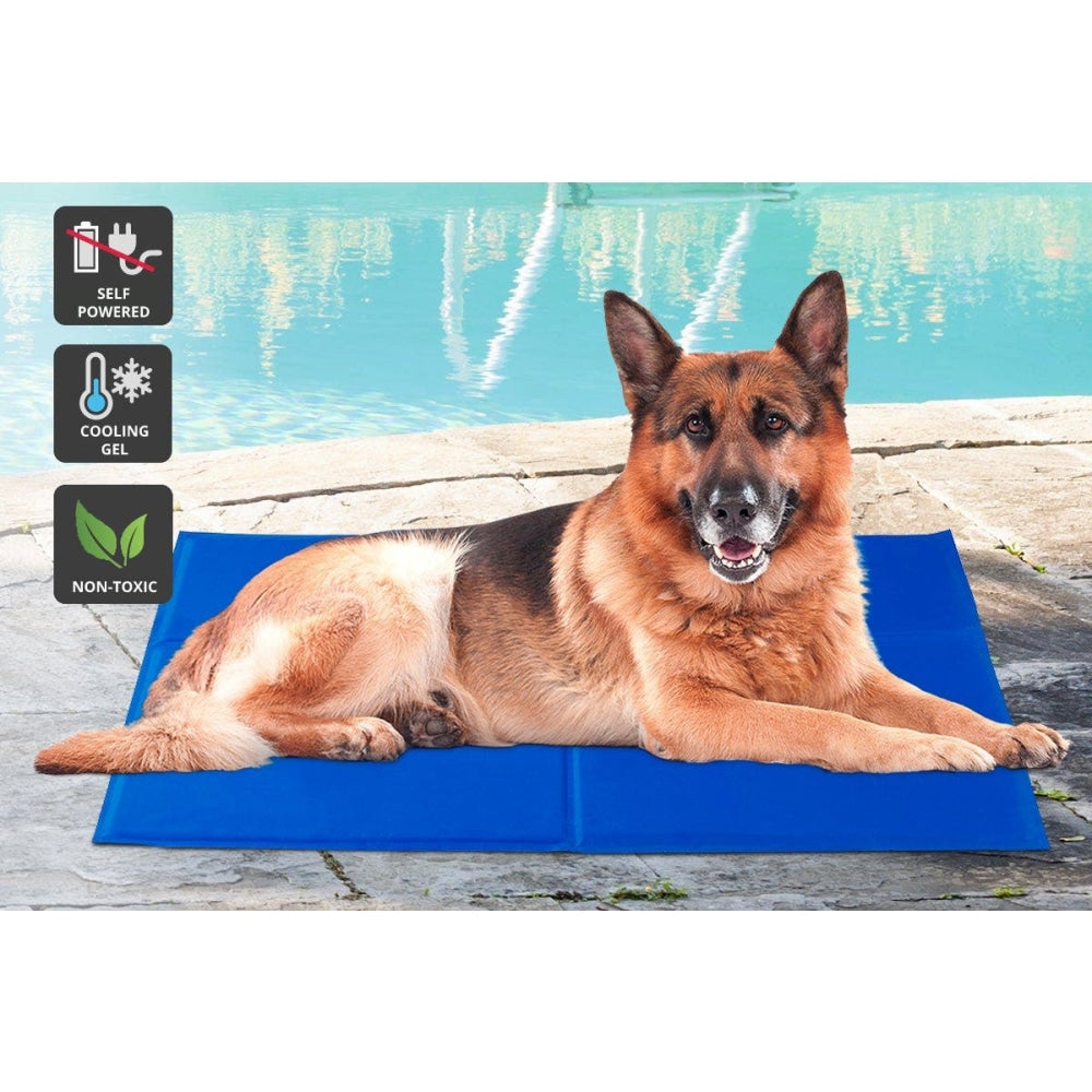 NEW Dog Bed Heavy Duty Waterproof Large Supplies Cares Fast shipping On sale