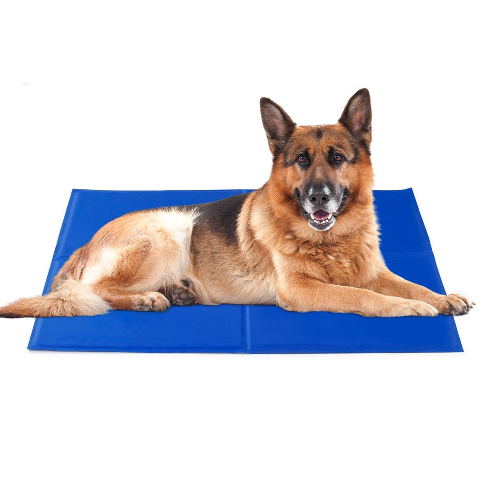 NEW Dog Bed Heavy Duty Waterproof Large Supplies Cares Fast shipping On sale