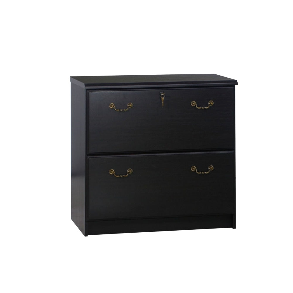 Norwich Modern Wooden 2-Drawer Lateral Filing Cabinet Storage - Black Oak Fast shipping On sale