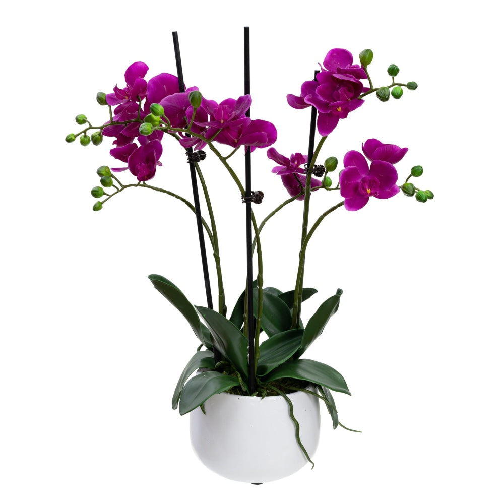 Orchid Artificial Fake Plant Decorative Arrangement 48cm In Pot Fast shipping On sale