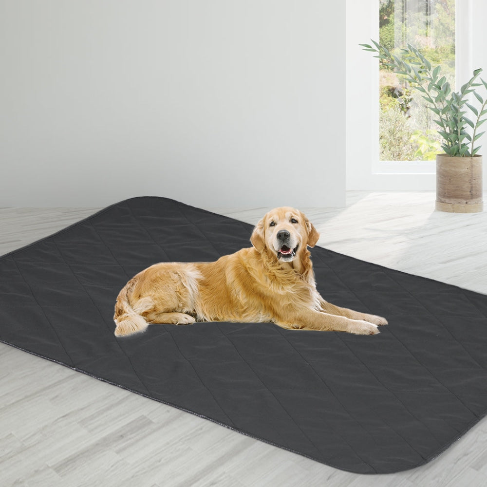 PaWz 2x Washable Dog Puppy Training Pad Pee Reusable Cushion King Grey Cares Fast shipping On sale