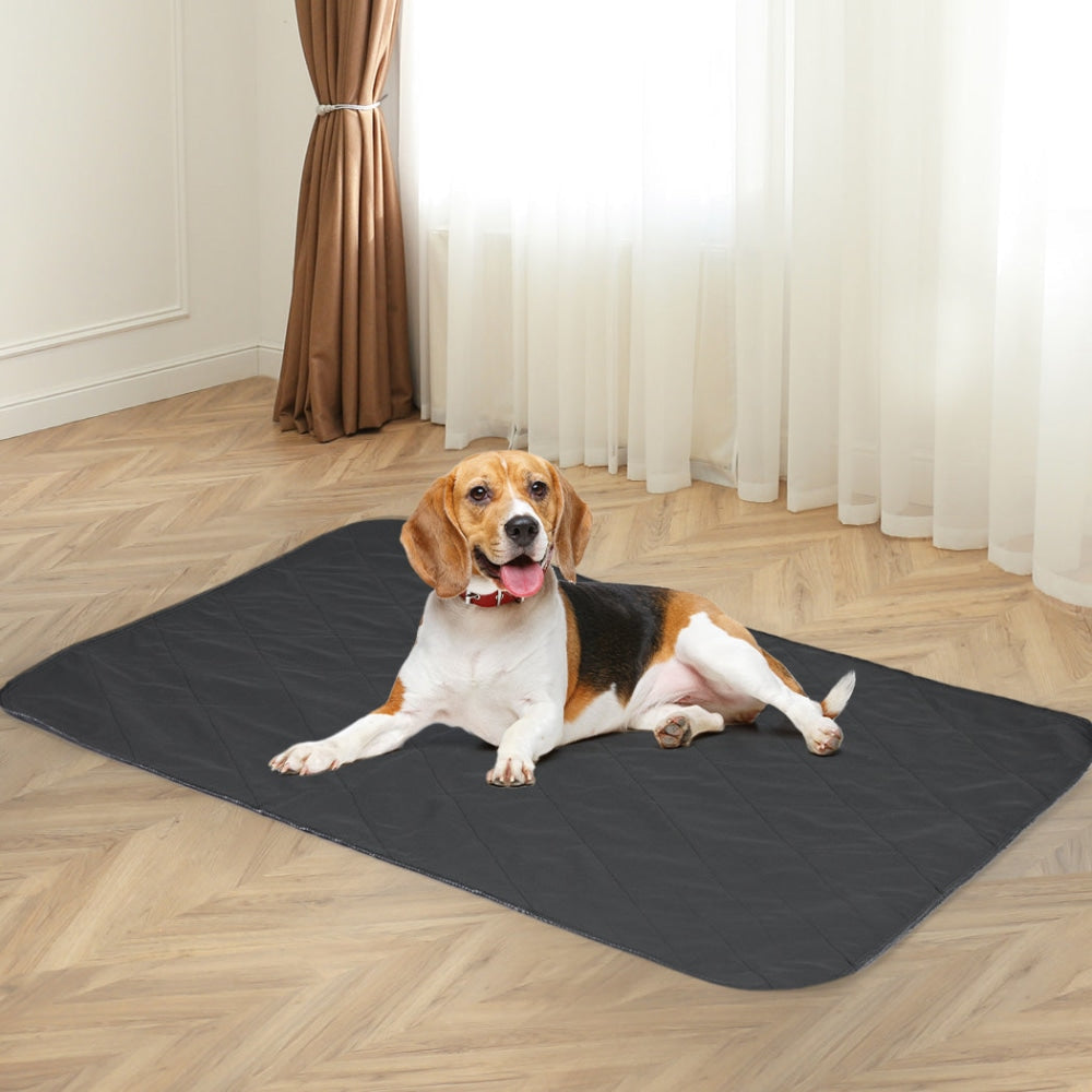 PaWz 2x Washable Dog Puppy Training Pad Pee Reusable Cushion XL Grey Cares Fast shipping On sale