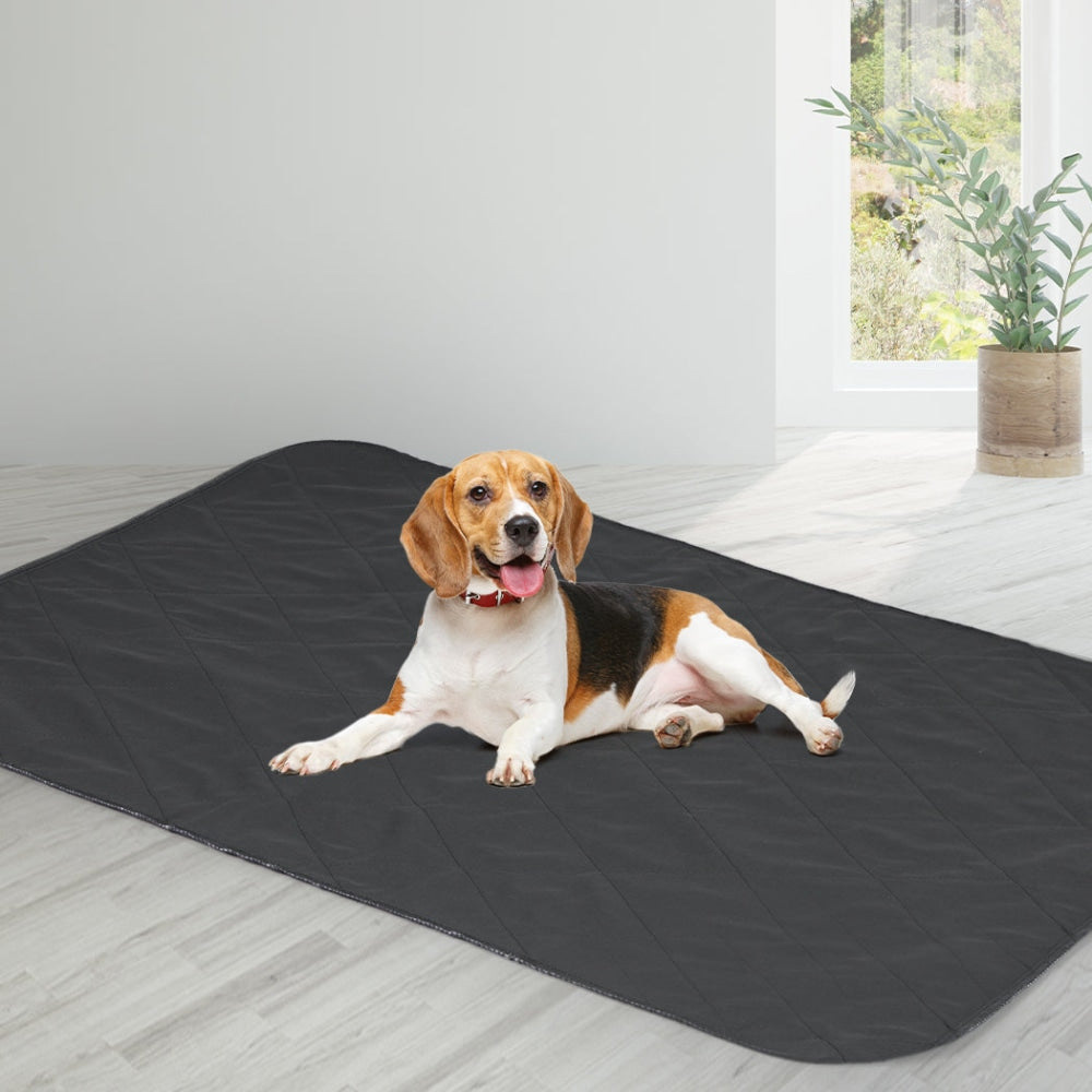 PaWz 2x Washable Dog Puppy Training Pad Pee Reusable Cushion XXL Grey Cares Fast shipping On sale