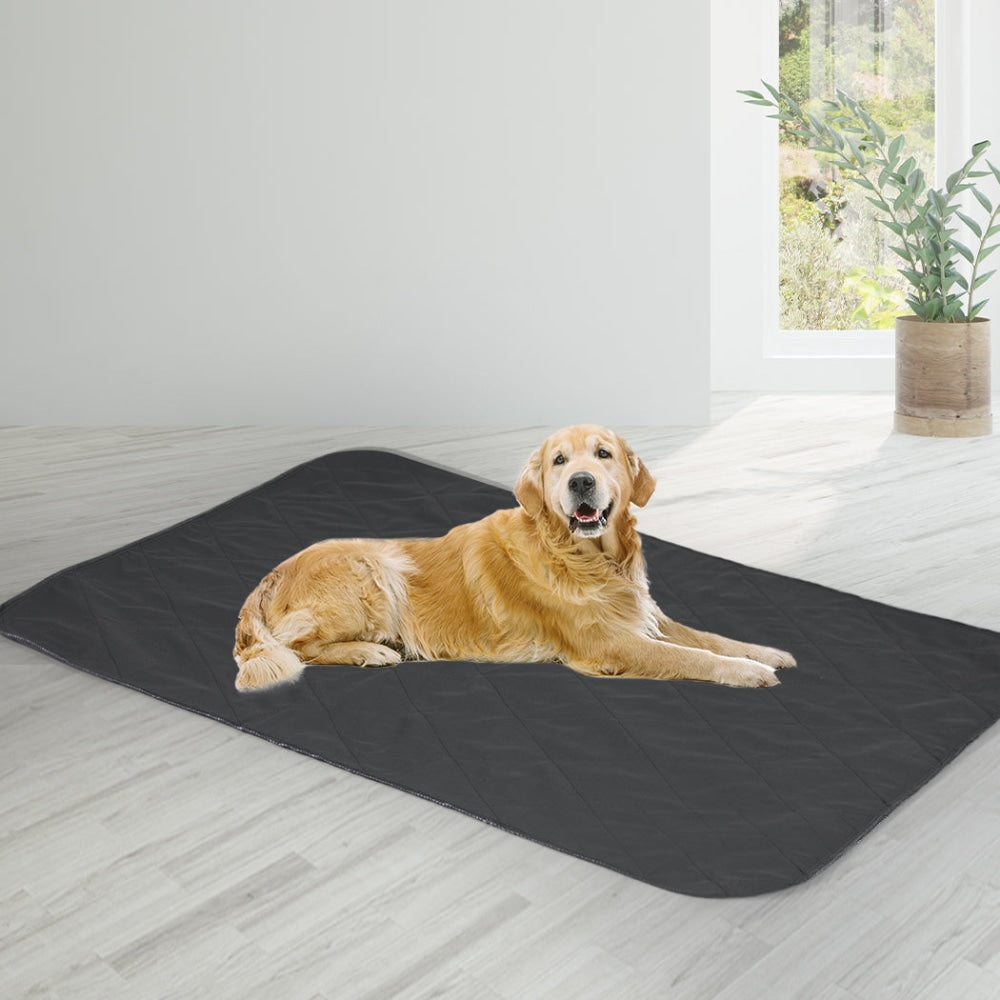 PaWz 4x Washable Dog Puppy Training Pad Pee Reusable Cushion Jumbo Grey Cares Fast shipping On sale