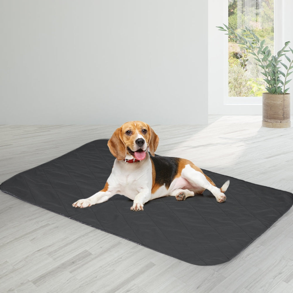 PaWz 4x Washable Dog Puppy Training Pad Pee Reusable Cushion XL Grey Cares Fast shipping On sale