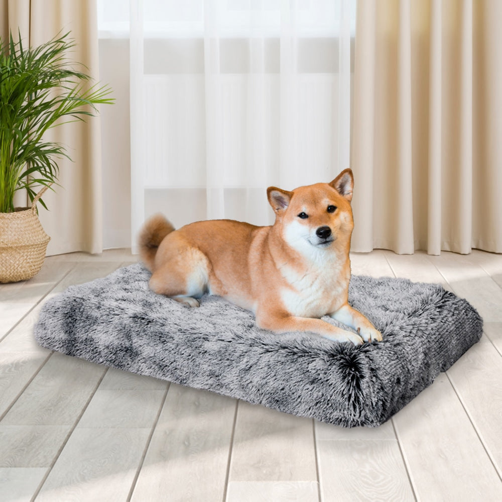 PaWz Dog Mat Pet Calming Bed Memory Foam Orthopedic Removable Cover Washable M Cares Fast shipping On sale