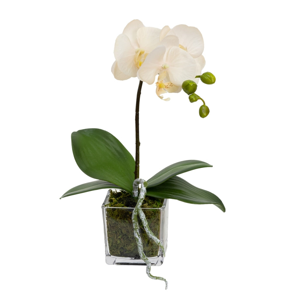 Peach Orchid Artificial Fake Plant Decorative Arrangement 32cm In Square Glass Fast shipping On sale