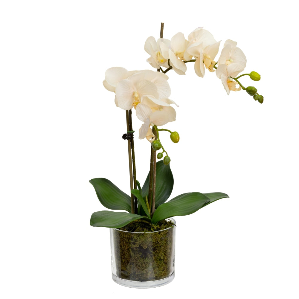 Peach Orchid Artificial Fake Plant Decorative Arrangement 45cm In Cylinder Glass Fast shipping On sale