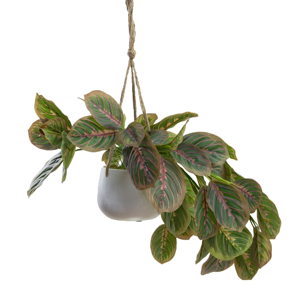 Peacock Bush Artificial Fake Plant Decorative Arrangement 65cm In Hanging Planter Purple & Green Fast shipping On sale