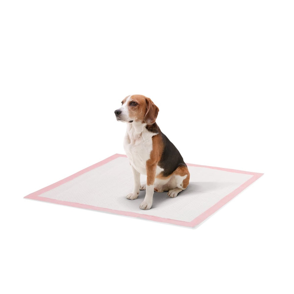 Pets 200 Pack Portably Potty Puppy Training Pads - Pink Dog Cares Fast shipping On sale