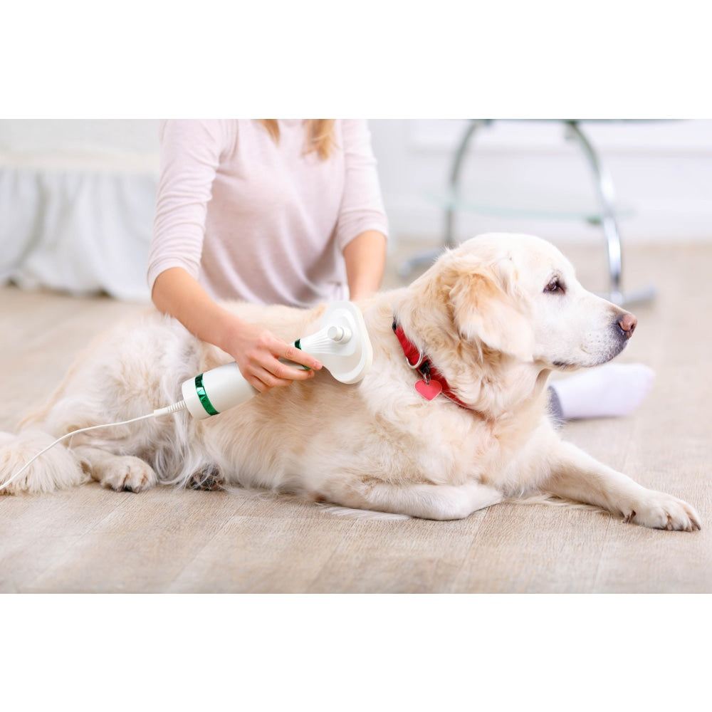 Pets Grooming 2-In-1 Hair Dryer with Slicker Brush Dog Cares Fast shipping On sale