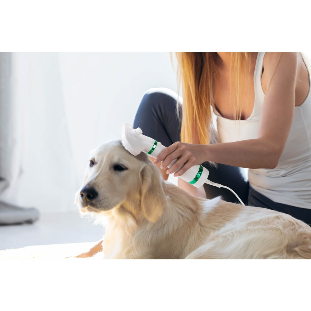 Pets Grooming 2-In-1 Hair Dryer with Slicker Brush Dog Cares Fast shipping On sale