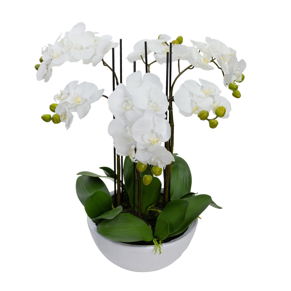 Phalaenopsis Orchid Artificial Plant Flower Decorative 55cm Ceramic Pot - White Fast shipping On sale