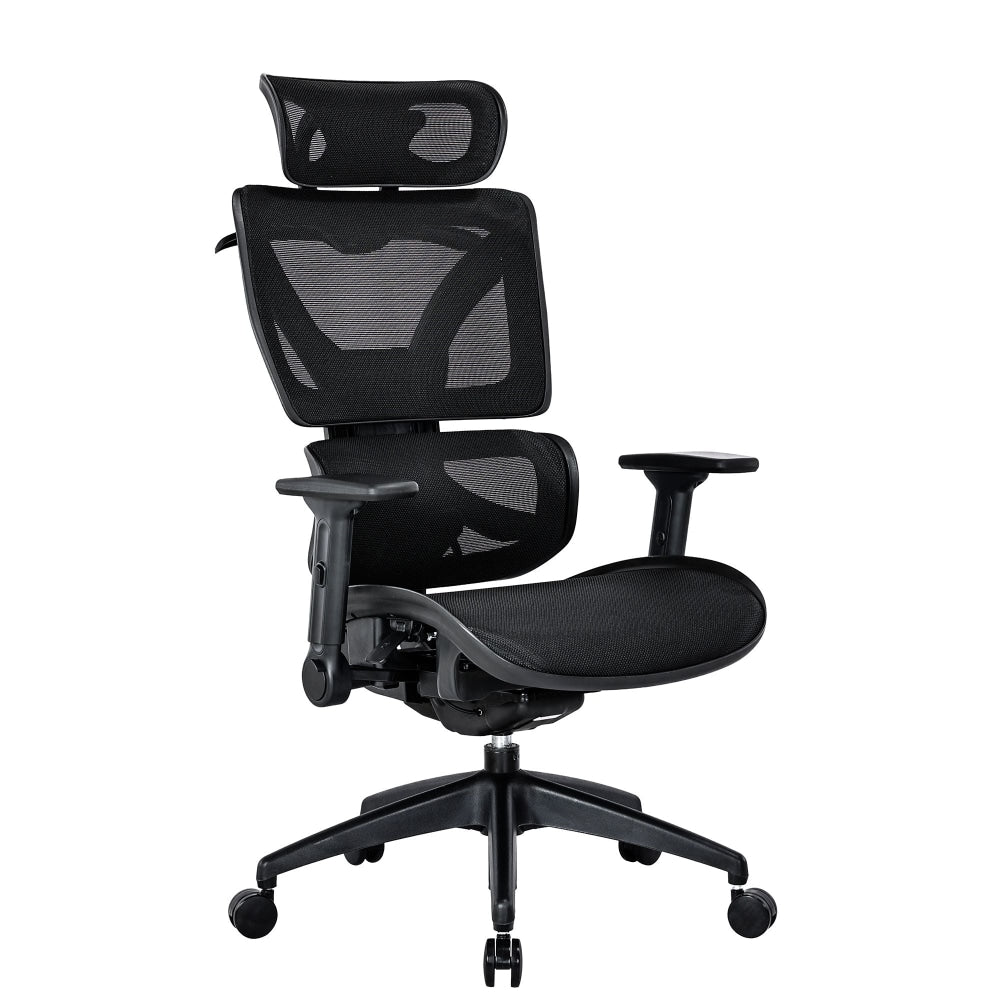 RISCHE Mesh Ergonomic Filpped Armrest Adjustable Executive Office Computer Chair - Black Fast shipping On sale