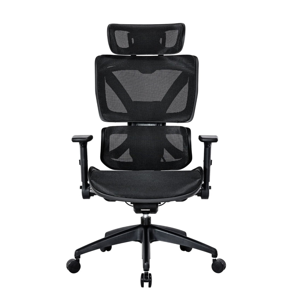 RISCHE Mesh Ergonomic Filpped Armrest Adjustable Executive Office Computer Chair - Black Fast shipping On sale