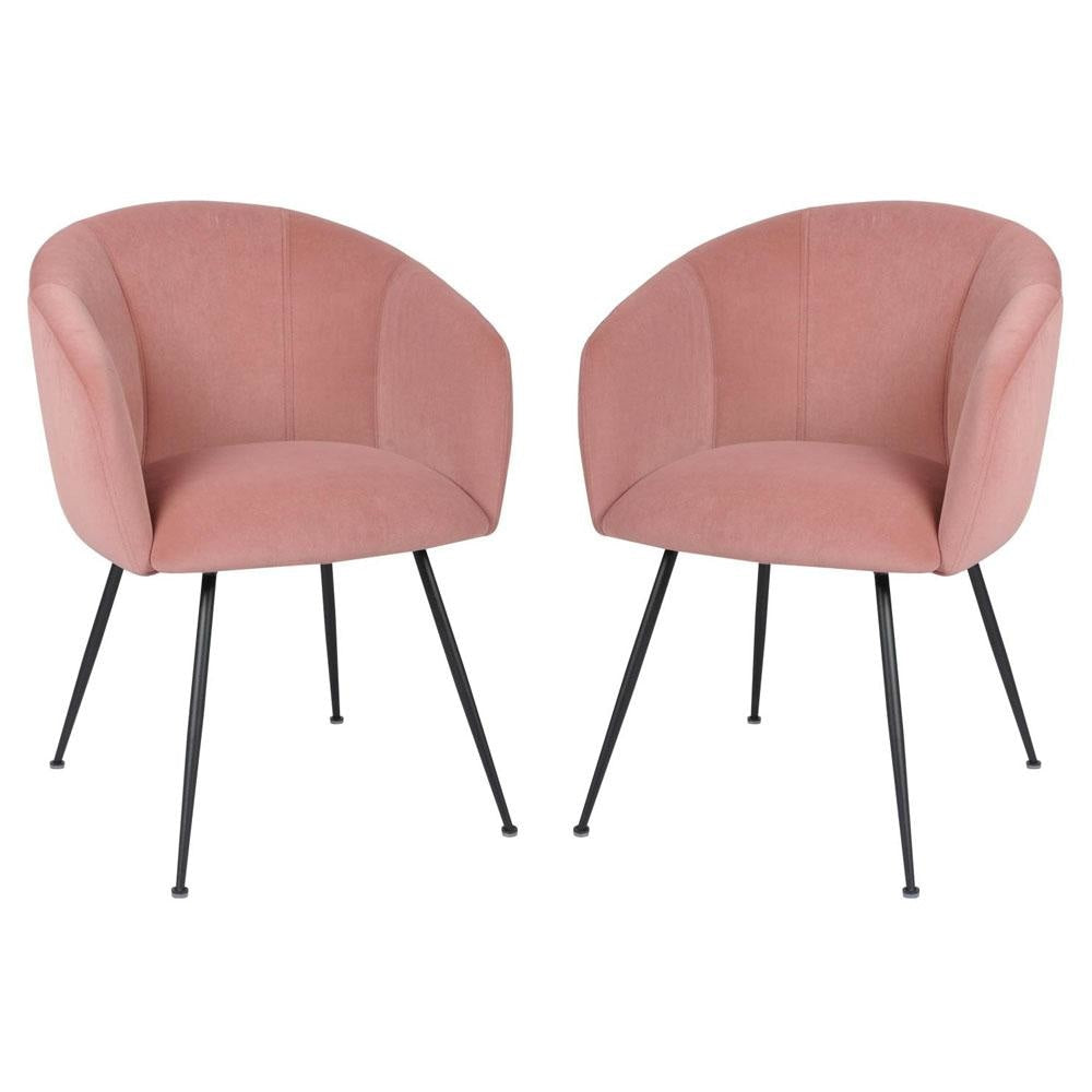 Set of 2 Finale Velvet Fabric Dining Chair - Black Metal Legs - Blush Fast shipping On sale