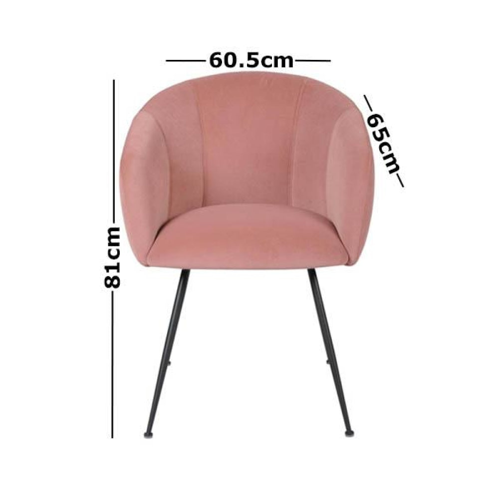 Set of 2 Finale Velvet Fabric Dining Chair - Black Metal Legs - Blush Fast shipping On sale