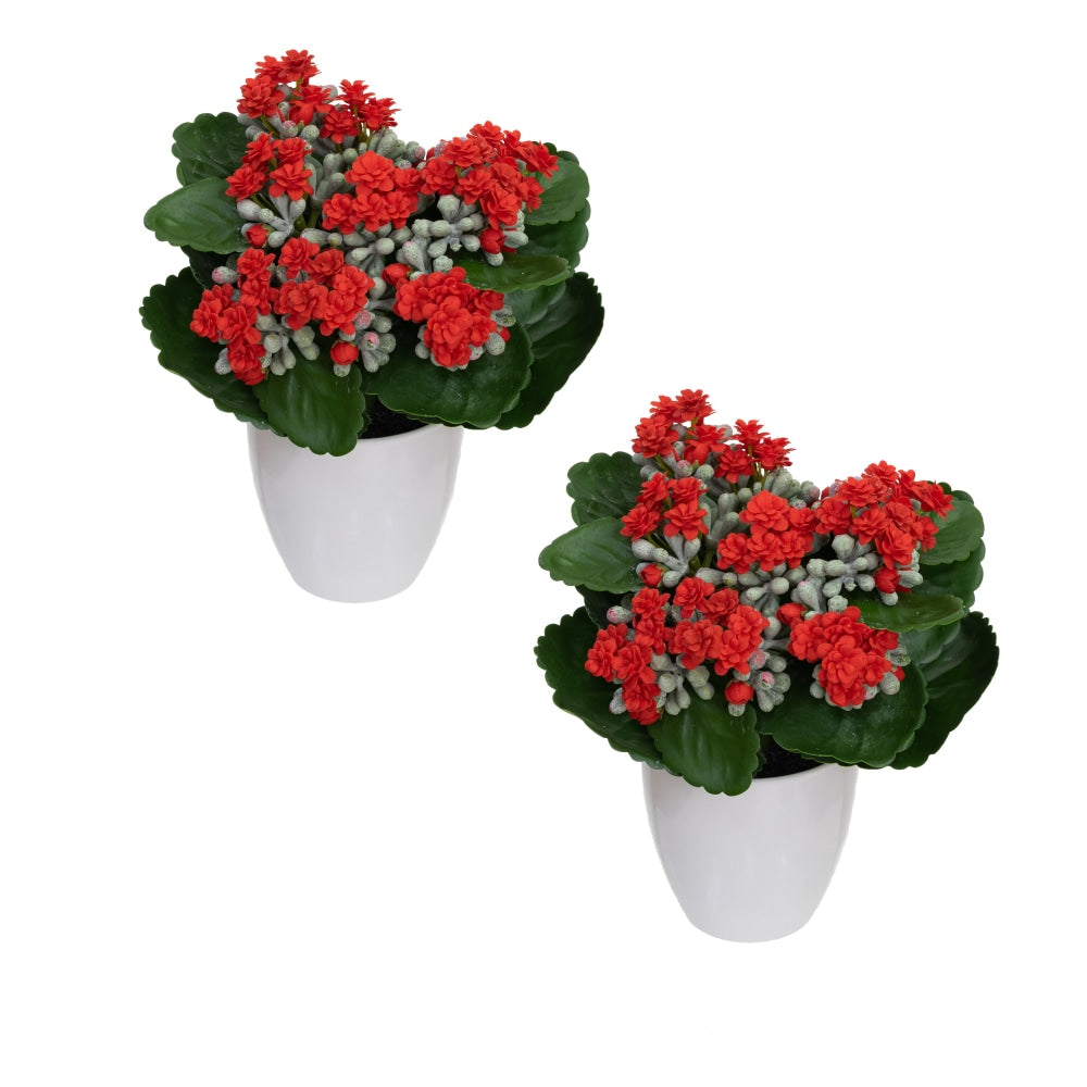 Set Of 2 Kalanchoe Artificial Fake Plant Decorative Arrangement In Pot 20cm Green & Red Fast shipping On sale