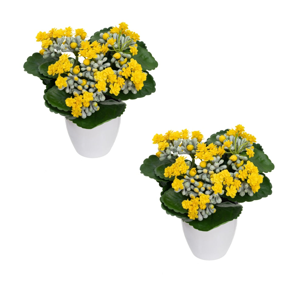 Set Of 2 Kalanchoe Artificial Fake Plant Decorative Arrangement In Pot 20cm Green & Yellow Fast shipping On sale