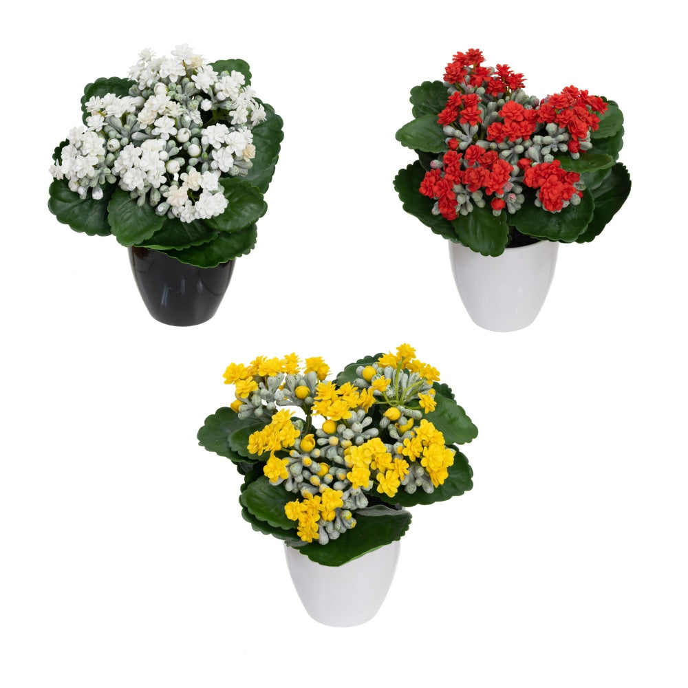 Set Of 3 Kalanchoe Artificial Fake Plant Decorative Arrangement In Pot 20cm Multicolour Fast shipping On sale