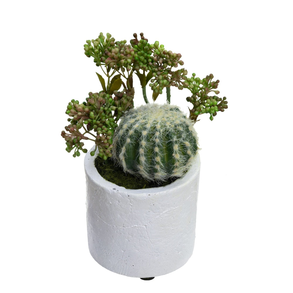 Set Of 4 Assorted Succulent Artificial Fake Plant Decorative In Pot - Green Fast shipping On sale