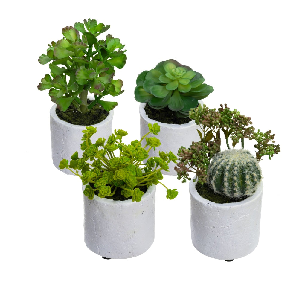 Set Of 4 Assorted Succulent Artificial Fake Plant Decorative In Pot - Green Fast shipping On sale